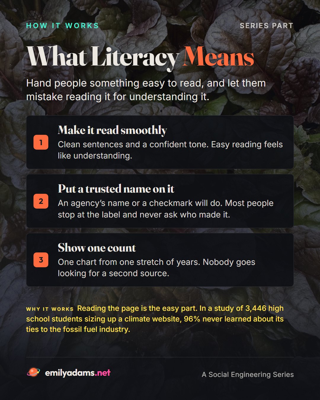 Slide 2