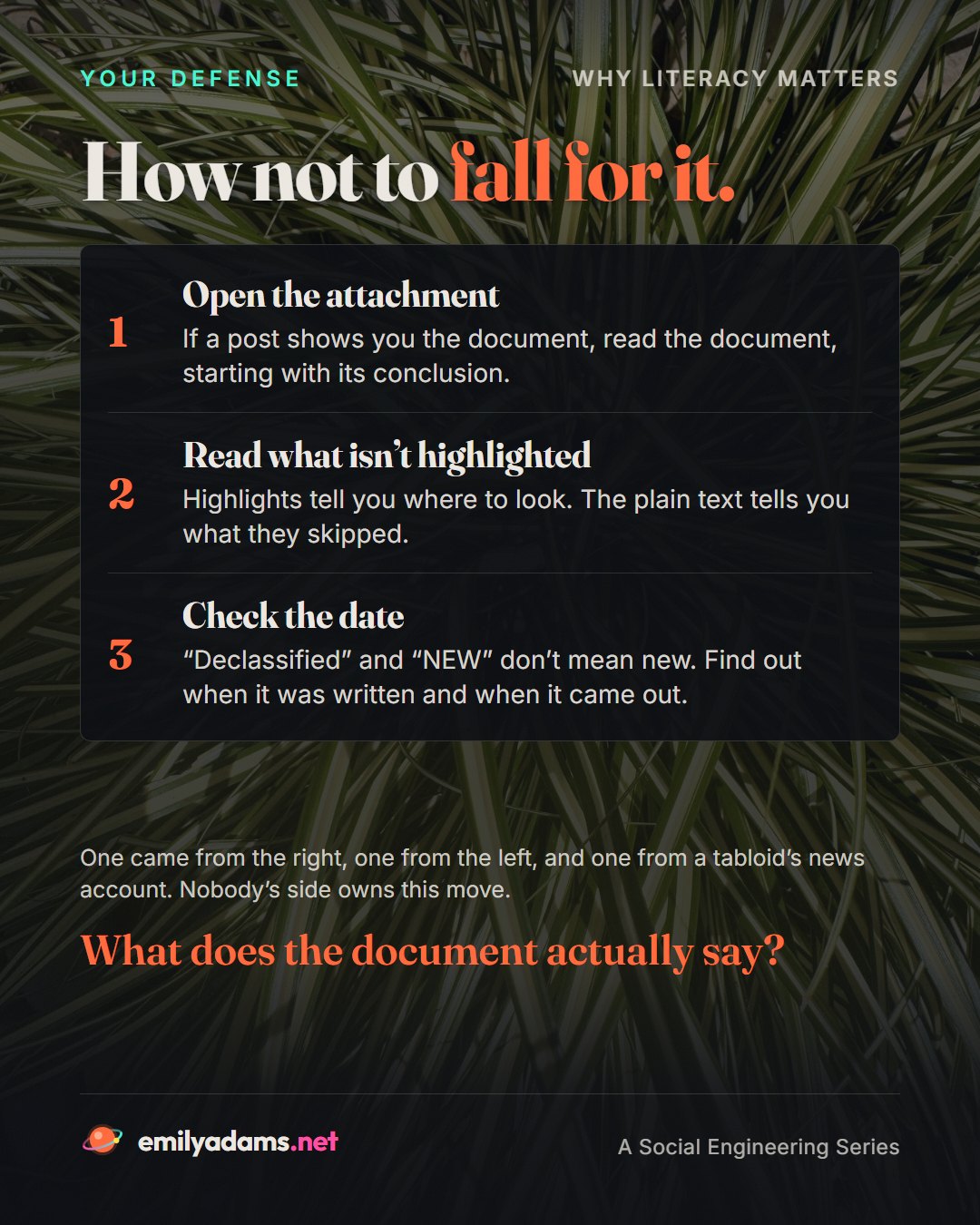 Slide 6